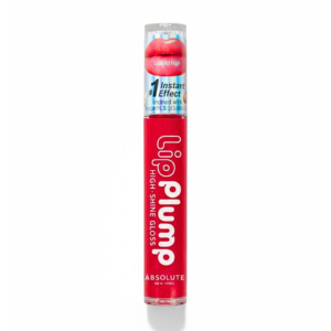 ABSOLUTE NEW YORK Lipstick Perfecting Plumping Gloss Cherr Maroc