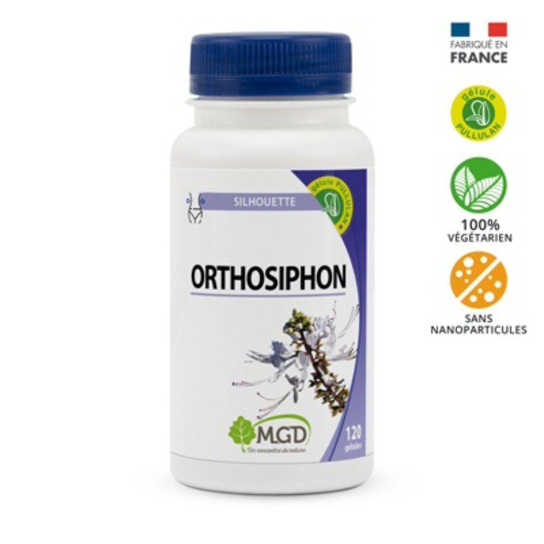 MGD NATURE Orthosiphon 120 Gelules Maroc