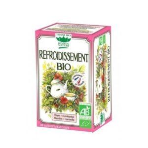 ROMON NATURE Infusion Refroidissement 20 Sachet Maroc