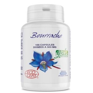 GPH Bourrache 503mg 100 Capsules Maroc
